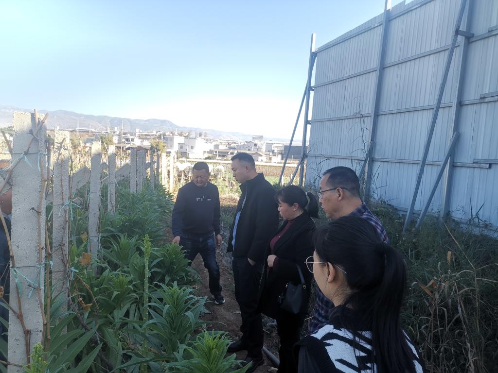 image1.jpeg
